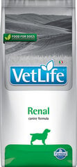 Корм для собак FARMINA Vet Life Renal Dog, 12 кг цена и информация | Сухой корм для собак | kaup24.ee