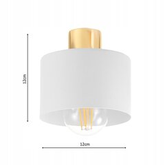 Подвесной светильник Led-lux цена и информация | Люстры | kaup24.ee