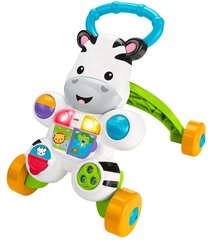 Kõndimistugi-liugur Sebra Fisher Price hind ja info | Fisher Price Lapsed ja imikud | kaup24.ee