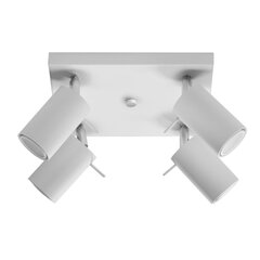 SOLLUX потолочный светильник Ring 4 White цена и информация | Потолочные светильники | kaup24.ee