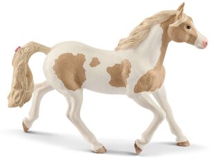 Фигурка кобылы Американского пейнтхорса Schleich Horse Club цена и информация | Развивающий мелкую моторику - кинетический песок KeyCraft NV215 (80 г) детям от 3+ лет, бежевый | kaup24.ee