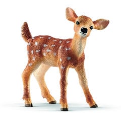 Фигурка Белохвостый олененок Schleich Wild Life цена и информация | Игрушки для мальчиков | kaup24.ee