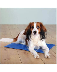 Охлаждающий коврик для собак Trixie, 40x30 см цена и информация | Лежаки, домики | kaup24.ee