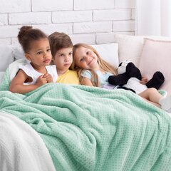 Amelia Home плед Shleepy 170x210 см цена и информация | Покрывала, пледы | kaup24.ee