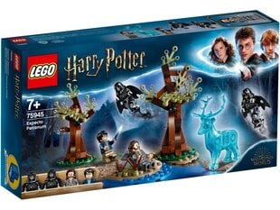 75945 LEGO® Harry Potter™ Expecto Patronum цена и информация | Конструкторы и кубики | kaup24.ee