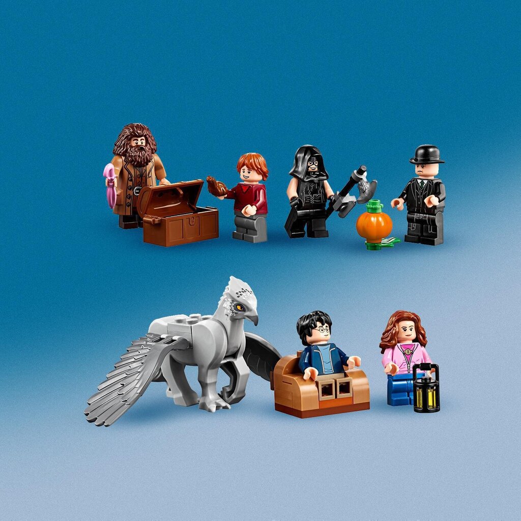 75947 LEGO® Harry Potter хижина Хагрида: спасение Клювокрыла цена |  kaup24.ee