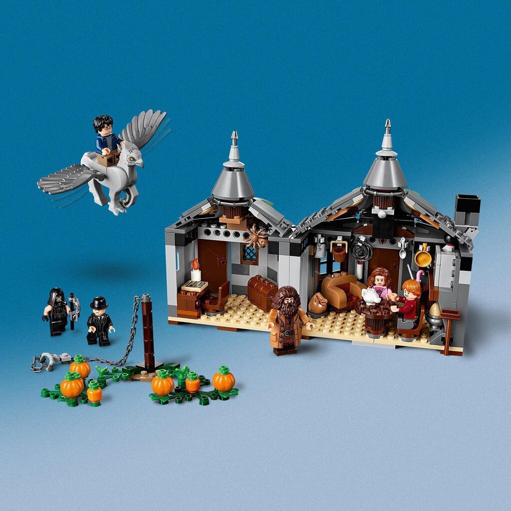 75947 LEGO® Harry Potter Hagridi onn: Helliknoka päästmine hind ja info | Klotsid ja konstruktorid | kaup24.ee