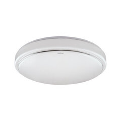 Белый потолочный светильник с датчиком движения STRÜHM pedro led sl 15w 4000k, 210 x 120 x 45 мм цена и информация | Потолочные светильники | kaup24.ee