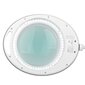 Elegante 6014 60 led smd 5d laualuupiavalgusti Elegante 6014 60 led smd 5d цена и информация | Laualambid | kaup24.ee