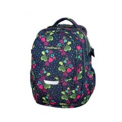 Ergonoomiline seljakott CoolPack Factor Lime Hearts B02010 hind ja info | Koolikotid, sussikotid | kaup24.ee