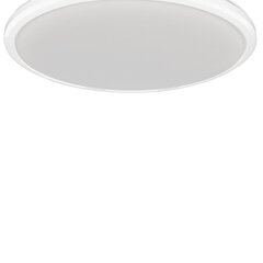 Milagro потолочный LED светильник Terma White 18 W цена и информация | Потолочные светильники | kaup24.ee