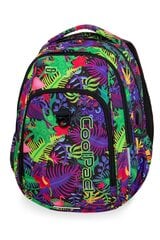 Рюкзак CoolPack Strike USB Jungle B18041 цена и информация | Школьные рюкзаки, спортивные сумки | kaup24.ee