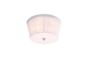 Candellux lighting светильник Camea 98-56245 цена и информация | Потолочные светильники | kaup24.ee