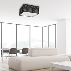 Milagro потолочный светильник Satino Silver цена и информация | Потолочные светильники | kaup24.ee