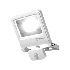 LEDVANCE светодиодный прожектор с датчиком движения, 30 Вт, 3000 К цена и информация | Уличное освещение | kaup24.ee