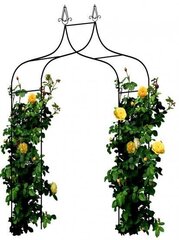 Металлическая арка для растений Garden Line, 150x37x240 см цена и информация | Подставки для цветов, держатели для вазонов | kaup24.ee