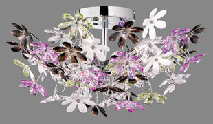Laevalgusti Flower, 4xE14 920022089 hind ja info | Laelambid | kaup24.ee
