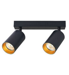 Направленный светильник 2xGU10 черно-золотого цвета цена и информация | Потолочные светильники | kaup24.ee