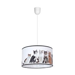 Milagro подвесной светильник Cats цена и информация | Детские светильники | kaup24.ee