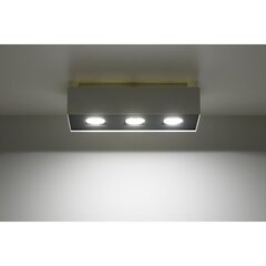 SOLLUX потолочный светильник Mono 3 White цена и информация | Потолочные светильники | kaup24.ee