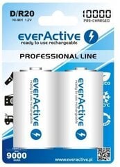 Батарейки everActive D "Ready to Use" цена и информация | Батарейки | kaup24.ee