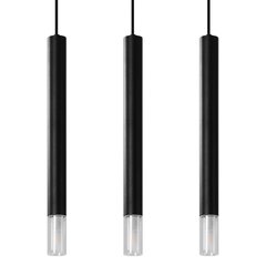 Pendant lamp WEZYR 3 black OCEAN GREEN SL.0962 цена и информация | Люстры | kaup24.ee