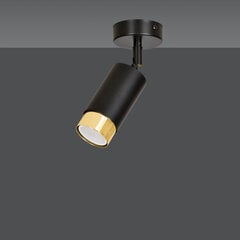 Emibig laelamp Hiro 1 Black-Gold hind ja info | Laelambid | kaup24.ee