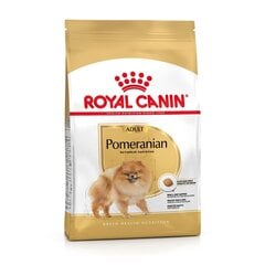 Royal Canin Pomeranian Adult kanaga, 3 kg hind ja info | Kuivtoit koertele | kaup24.ee