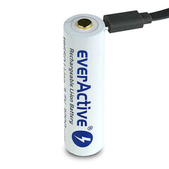 everActive USB перезаряжаемый аккумулятор с PCM 18650 3200мАч цена и информация | Батарейки | kaup24.ee