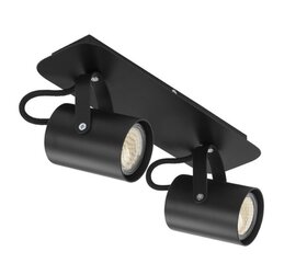 Потолочный светильник Kamera, 32612 цена и информация | Потолочные светильники | kaup24.ee