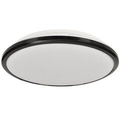 Eko-Light потолочный LED светильник Terma Black 28 W цена и информация | Потолочные светильники | kaup24.ee