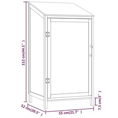 Aiakuur , pruun, 55 x 52 x 112 cm, nulupuit цена и информация | Садовые сараи, дровницы | kaup24.ee