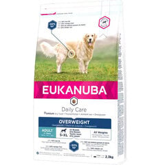 EUKANUBA Daily Care Overweight, стерилизованная, 12 кг цена и информация | Сухой корм для собак | kaup24.ee