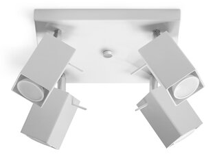 SOLLUX потолочный светильник Merida 4 White цена и информация | Потолочные светильники | kaup24.ee
