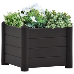 aia taimelava PP antratsiithall 43 x 43 x 35 cm цена и информация | Вазоны | kaup24.ee