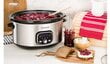 Aegpliit "Transa Electronics SlowCooker Medium" 4,5 l hõbe/hall 280 W hind ja info | Aurutajad, multikeetjad | kaup24.ee