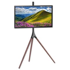 Штатив Techly TV LED/LCD 45-65", 32 кг, деревянный цена и информация | Кронштейны и крепления для телевизоров | kaup24.ee