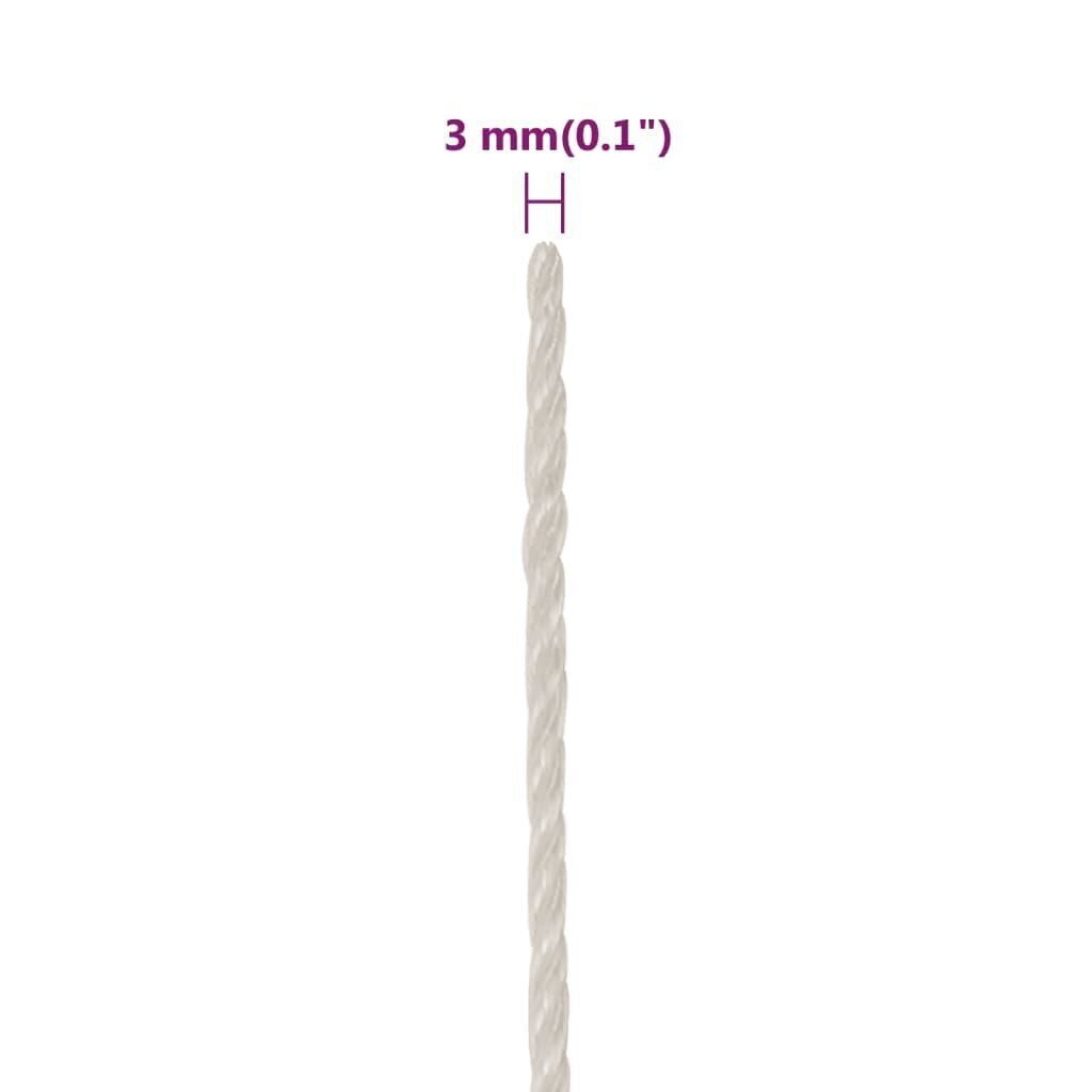 töököis, valge, 3 mm, 500 m, polüpropüleen цена и информация | Aiatööriistad | kaup24.ee