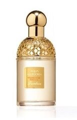 Guerlain Aqua Allegoria Mandarine Basilic EDT для женщин 75 мл цена и информация | Женские духи | kaup24.ee