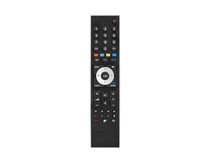 Kaugjuhtimispult GRUNDIG TP6 RM-258A jaoks hind ja info | Smart TV tarvikud | kaup24.ee