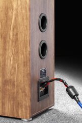 Напольные колонки Magnat Monitor S70 орех цена и информация | Домашняя акустика и системы «Саундбар» («Soundbar“) | kaup24.ee
