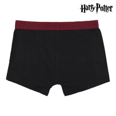 Meeste bokserid Harry Potter Mitmevärviline (2 uds) hind ja info | Meeste aluspesu | kaup24.ee