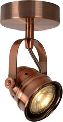 Потолочный светильник Cigal цена и информация | Потолочные светильники | kaup24.ee