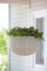 Горшок для цветов подвесной Cosy S With Hanging Set, бежевый цена и информация | Вазоны | kaup24.ee