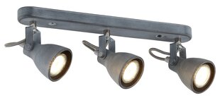 Candellux потолочный светильник Ash цена и информация | Потолочные светильники | kaup24.ee