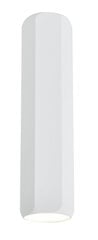 Candellux потолочный светильник 2282800 цена и информация | Потолочные светильники | kaup24.ee