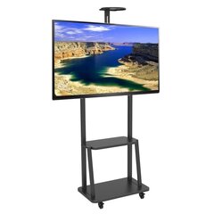 Techly LED/LCD 32-70" 60kg цена и информация | Кронштейны и крепления для телевизоров | kaup24.ee