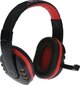 Rebeltec headphones ROHAN with microphone, 2 x jack 3,5mm hind ja info | Kõrvaklapid | kaup24.ee