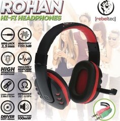 Rebeltec headphones ROHAN with microphone, 2 x jack 3,5mm hind ja info | Kõrvaklapid | kaup24.ee