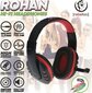 Rebeltec headphones ROHAN with microphone, 2 x jack 3,5mm цена и информация | Kõrvaklapid | kaup24.ee